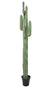 Gran Cactus Sanguaro artificial altura 210
