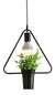 Lámpara de techo plantas Houseplant 2