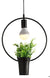 Lámpara de techo plantas Houseplant 4