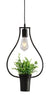 Lámpara de techo plantas Houseplant 1