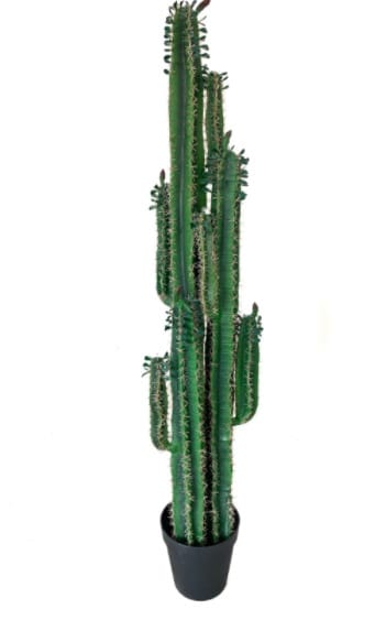 Cactus artificial  H200