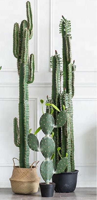 Cactus artificial  H205