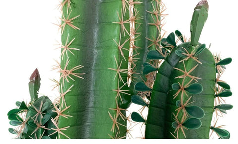 Cactus artificial  H200