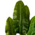 Planta artificial Canna H200