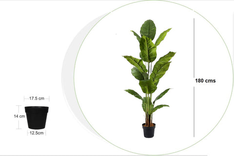 Planta Spathphyllum artificial 180